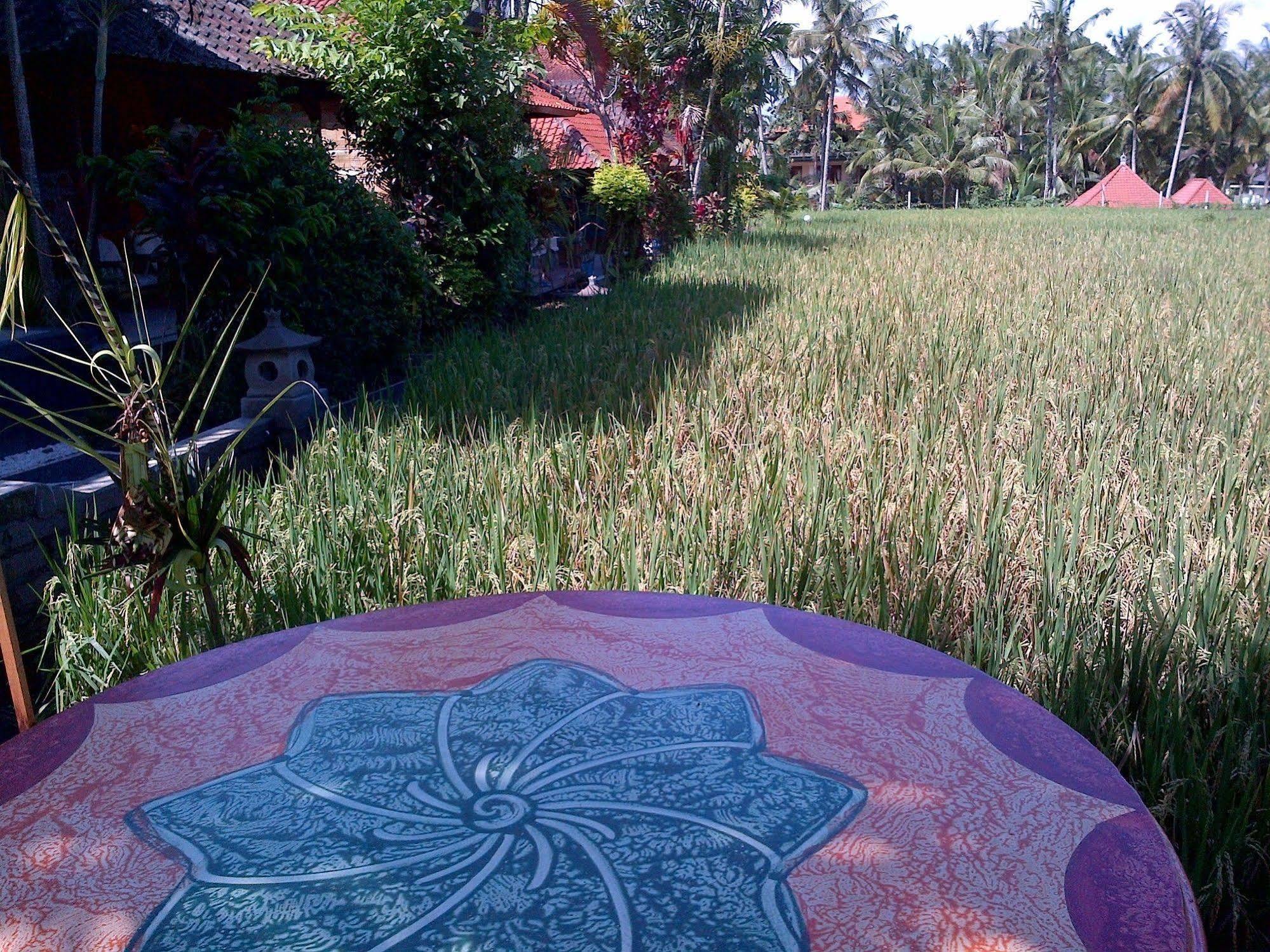 Puji Hostel And Bungalow Ubud Dış mekan fotoğraf